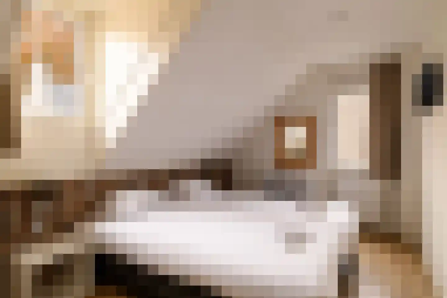 Dukdalf 27 Maastricht thumbnail 11