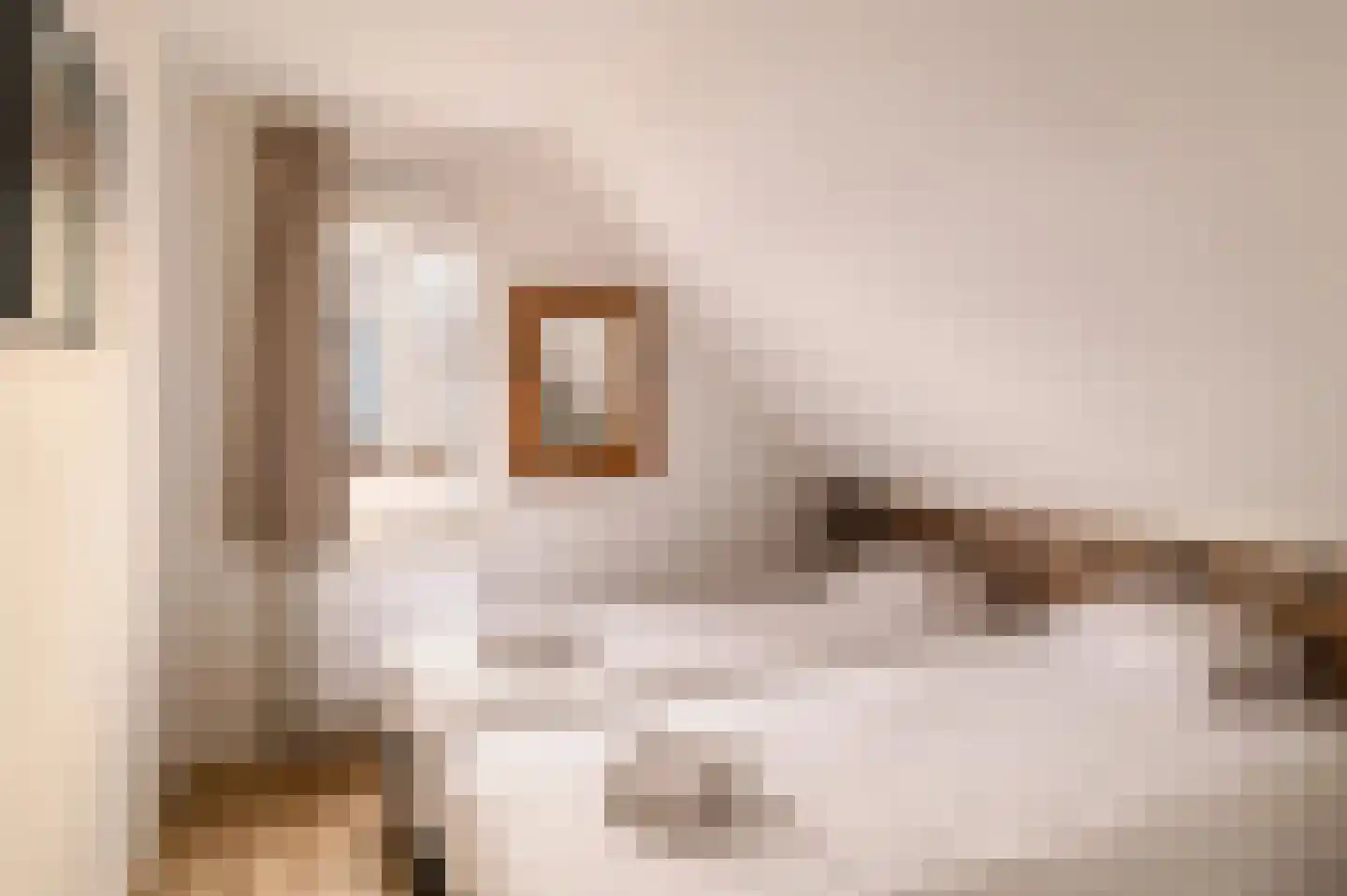 Dukdalf 27 Maastricht thumbnail 12