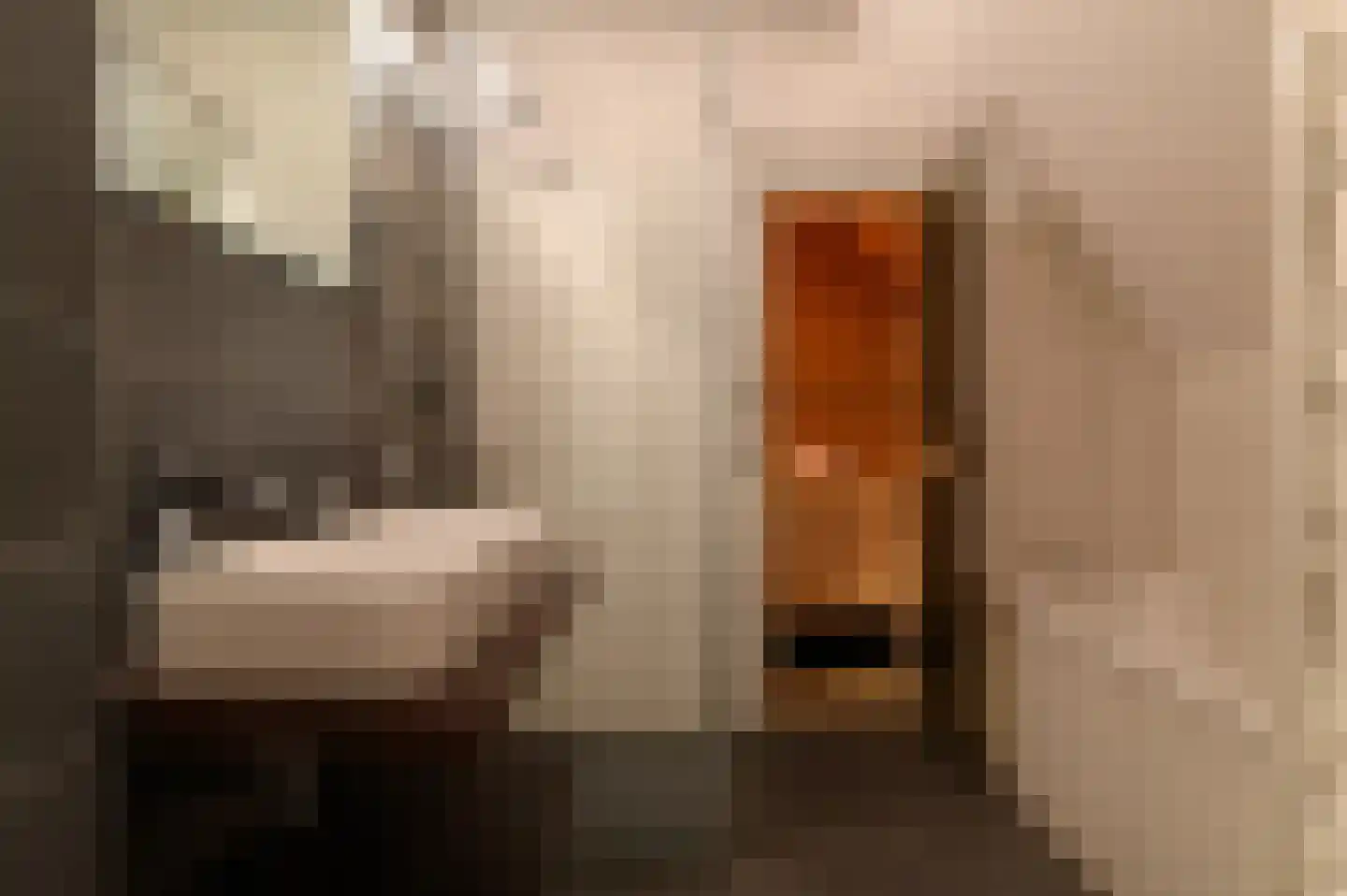 Dukdalf 27 Maastricht thumbnail 6