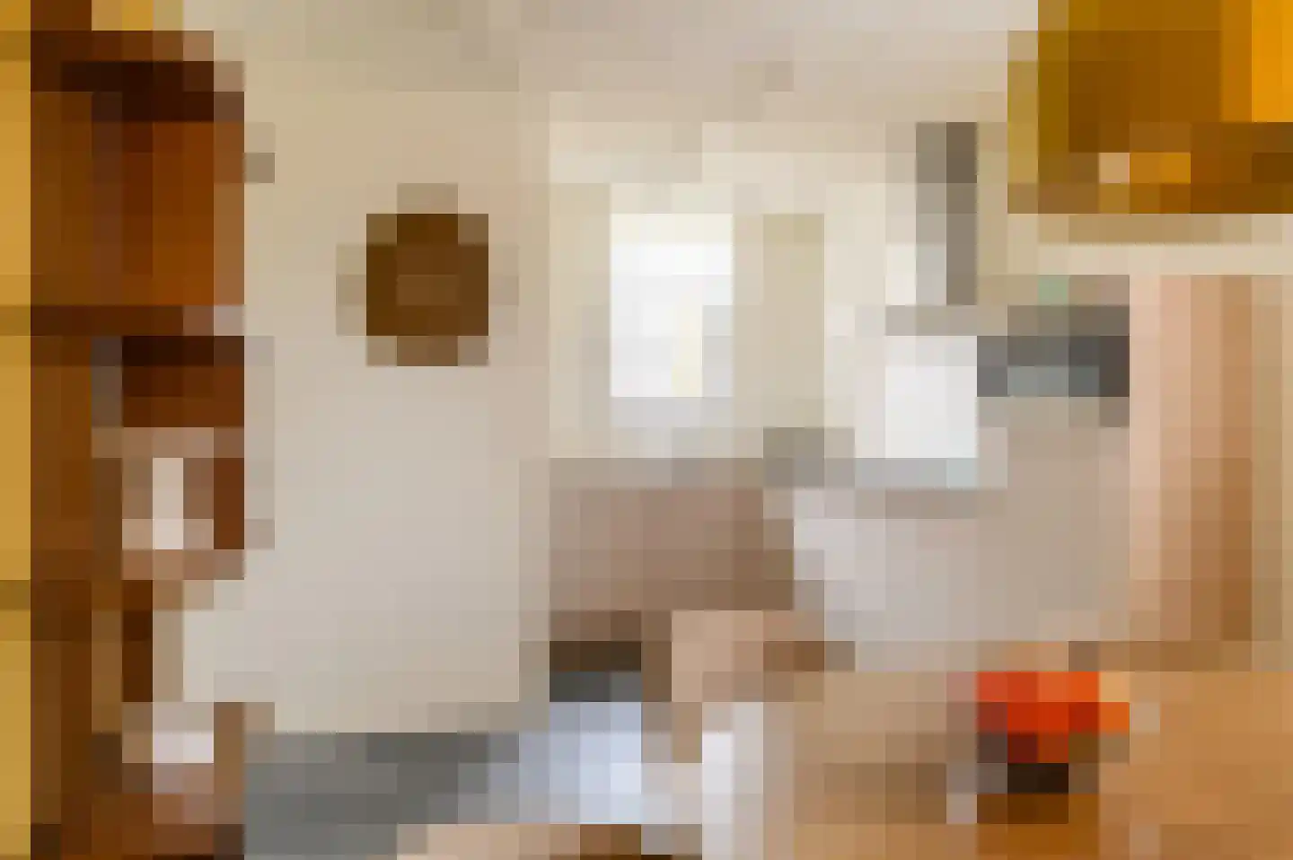 Dukdalf 27 Maastricht thumbnail 7