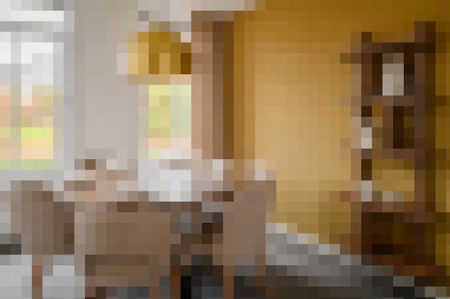 Dukdalf 27 Maastricht thumbnail 9