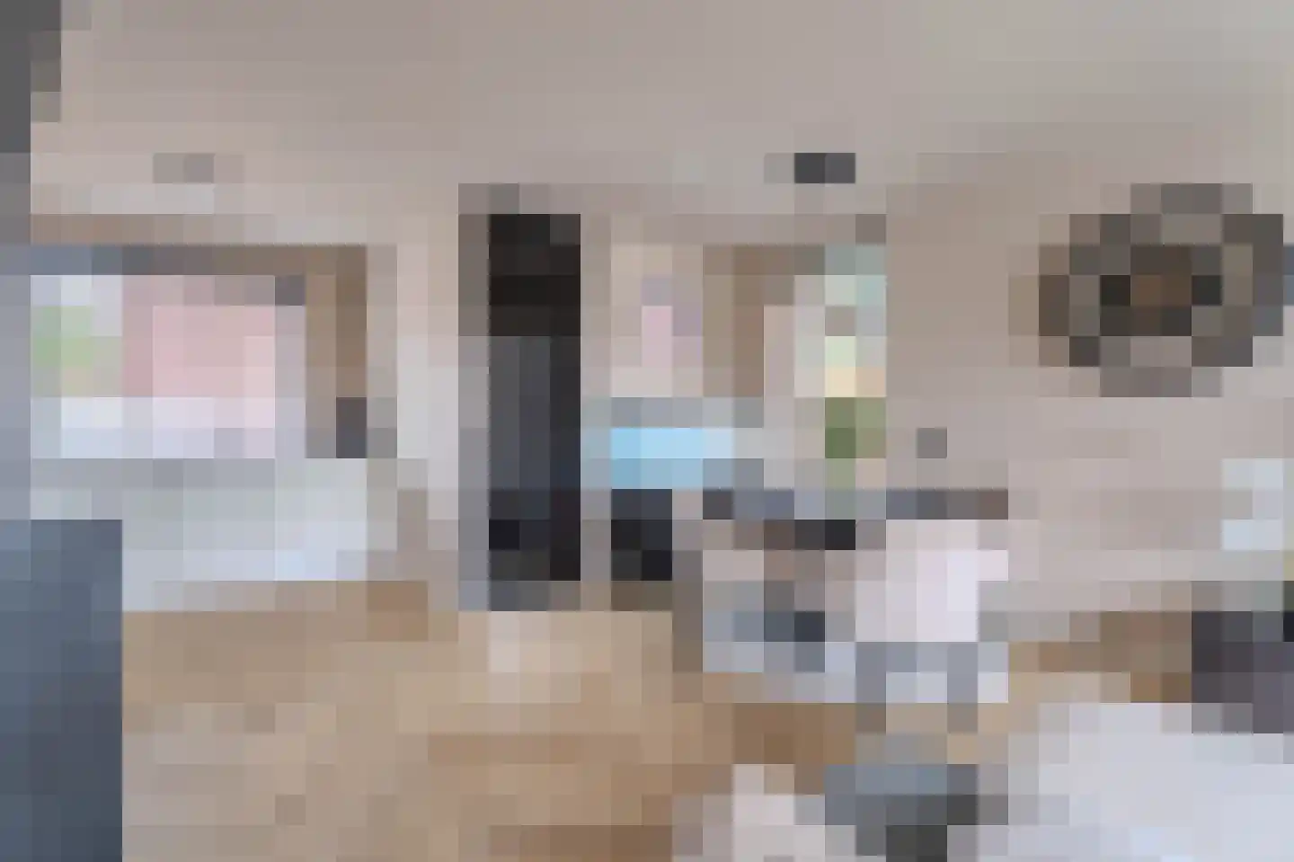 Dukdalf 28 Hellevoetsluis thumbnail 4