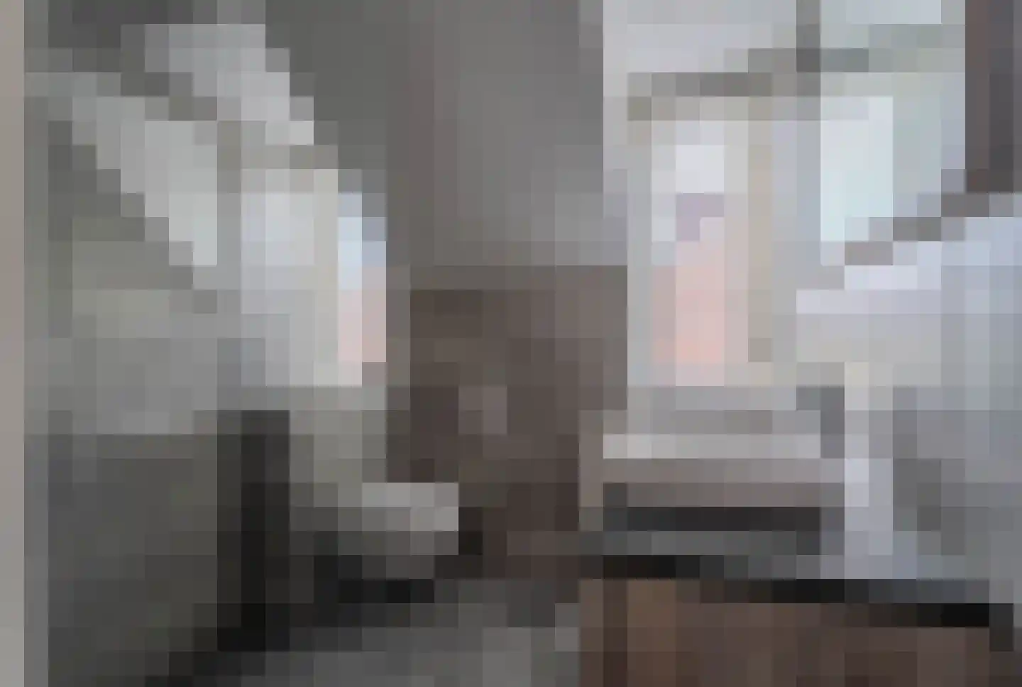 Dukdalf 28 Hellevoetsluis thumbnail 5