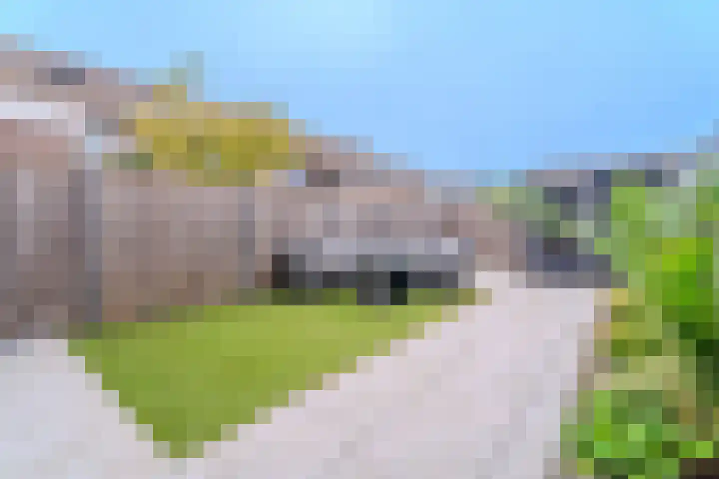 Dukdalf 28 Hellevoetsluis thumbnail 6