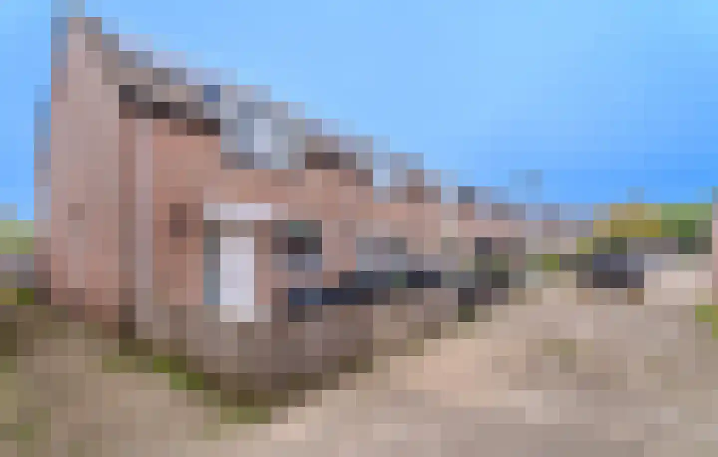 Dukdalf 28 Hellevoetsluis thumbnail 8