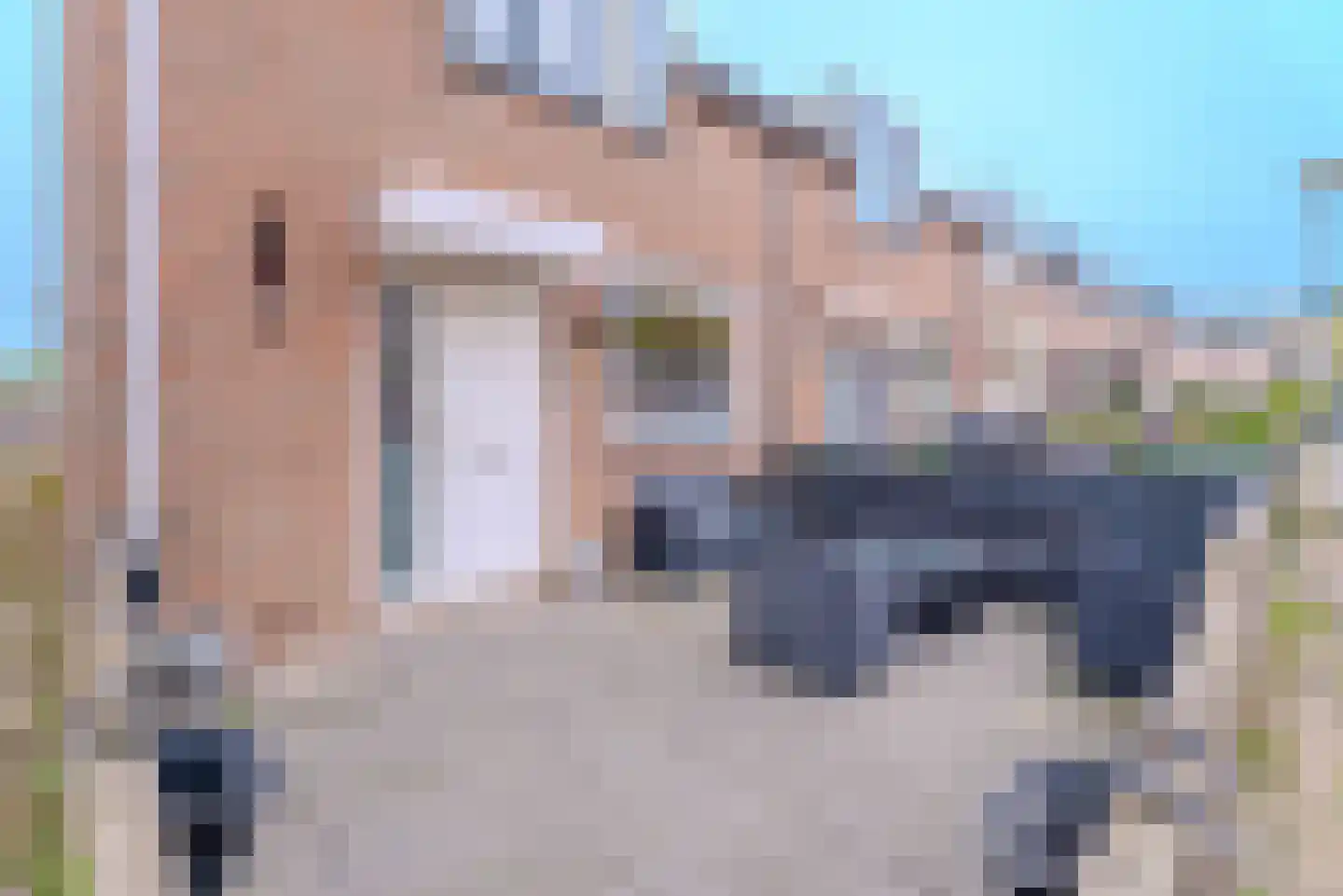 Dukdalf 28 Hellevoetsluis thumbnail 9