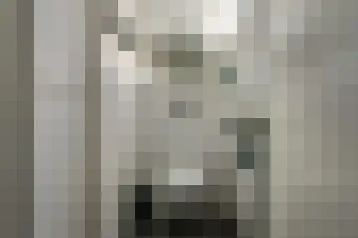 Dûkdalf 38 Joure thumbnail 11