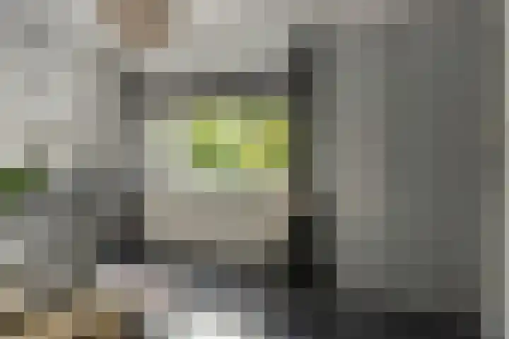 Dûkdalf 38 Joure thumbnail 14