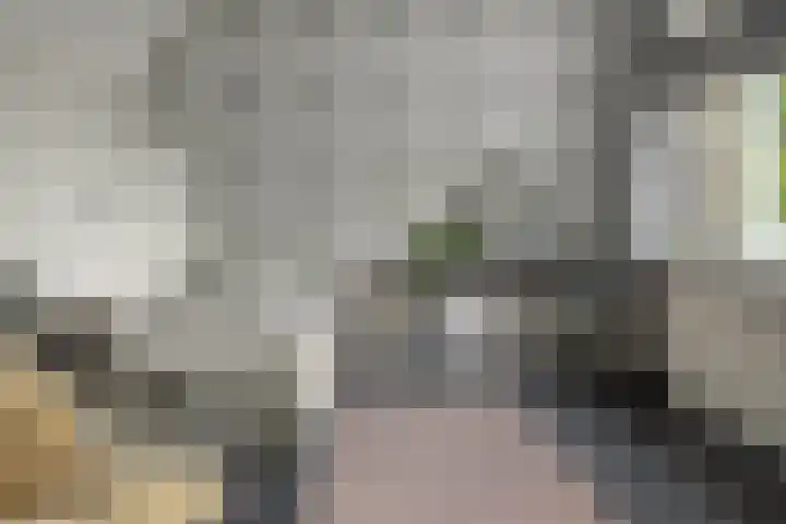 Dûkdalf 38 Joure thumbnail 15