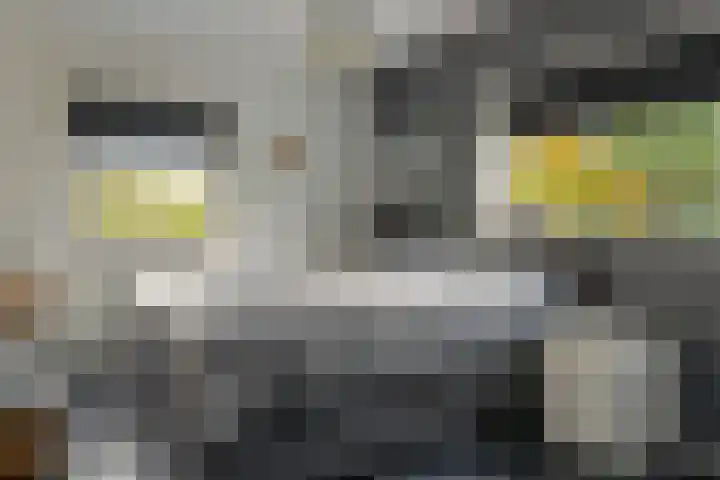 Dûkdalf 38 Joure thumbnail 16