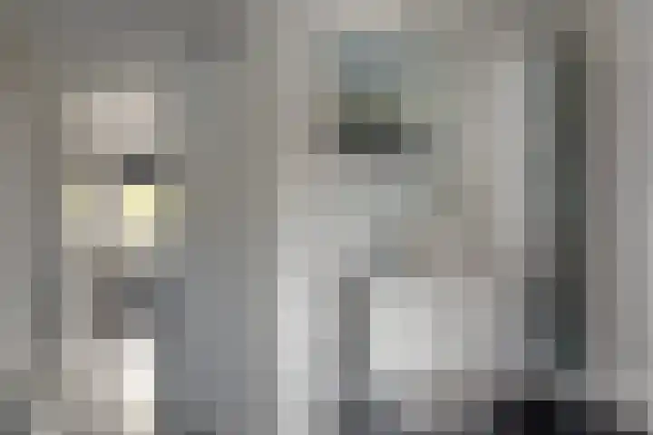 Dûkdalf 38 Joure thumbnail 18