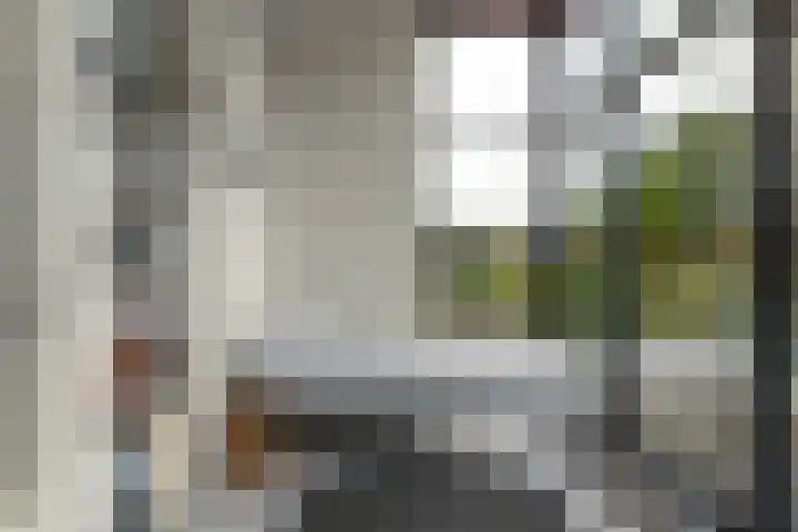 Dûkdalf 38 Joure thumbnail 22