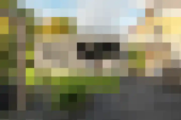 Dûkdalf 38 Joure thumbnail 26