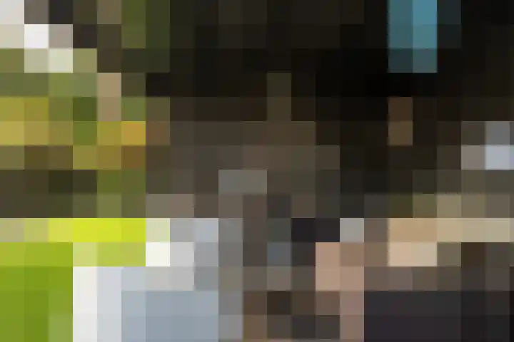 Dûkdalf 38 Joure thumbnail 28