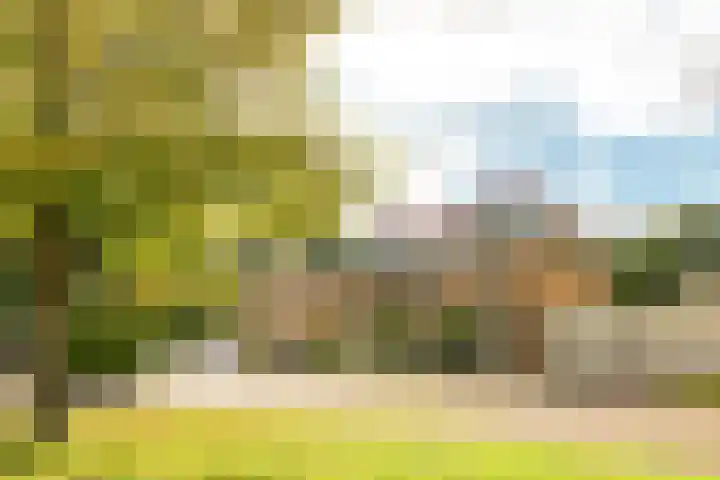 Dûkdalf 38 Joure thumbnail 32