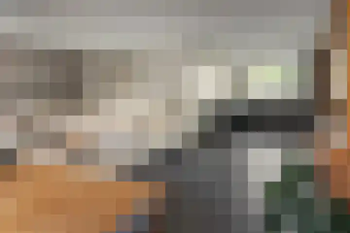 Dûkdalf 38 Joure thumbnail 4