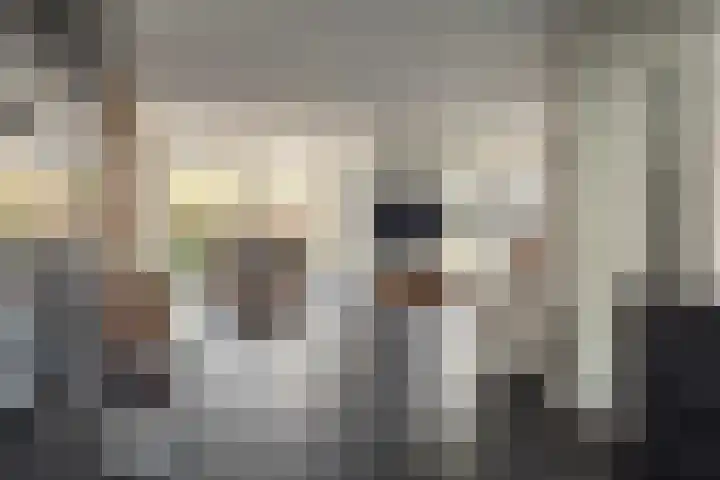 Dûkdalf 38 Joure thumbnail 6