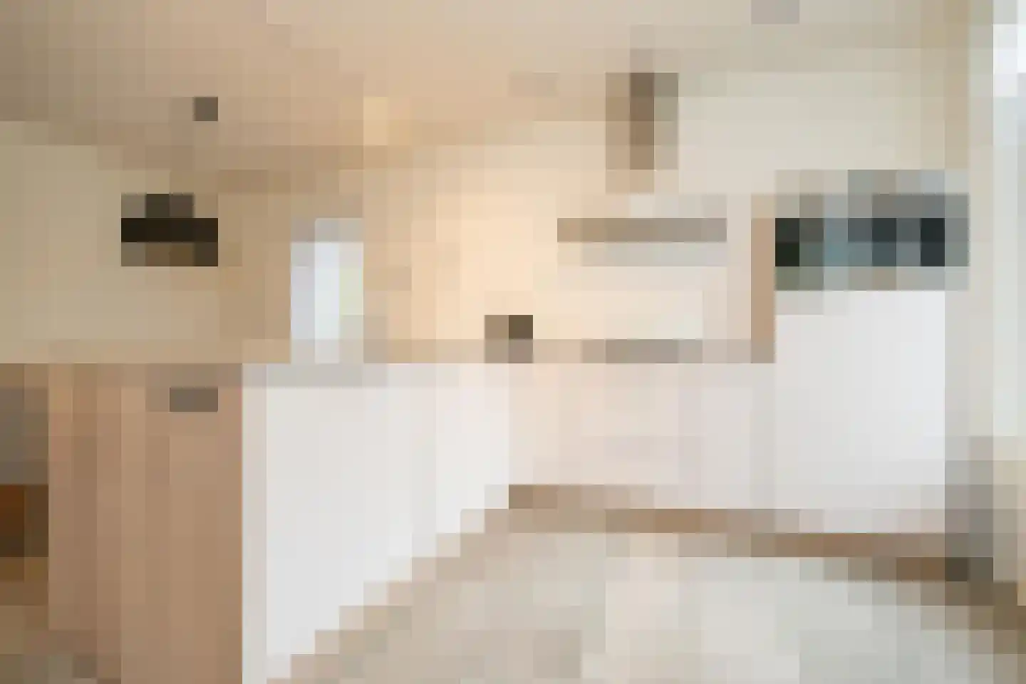 Dukdalf 70 Maastricht thumbnail 15