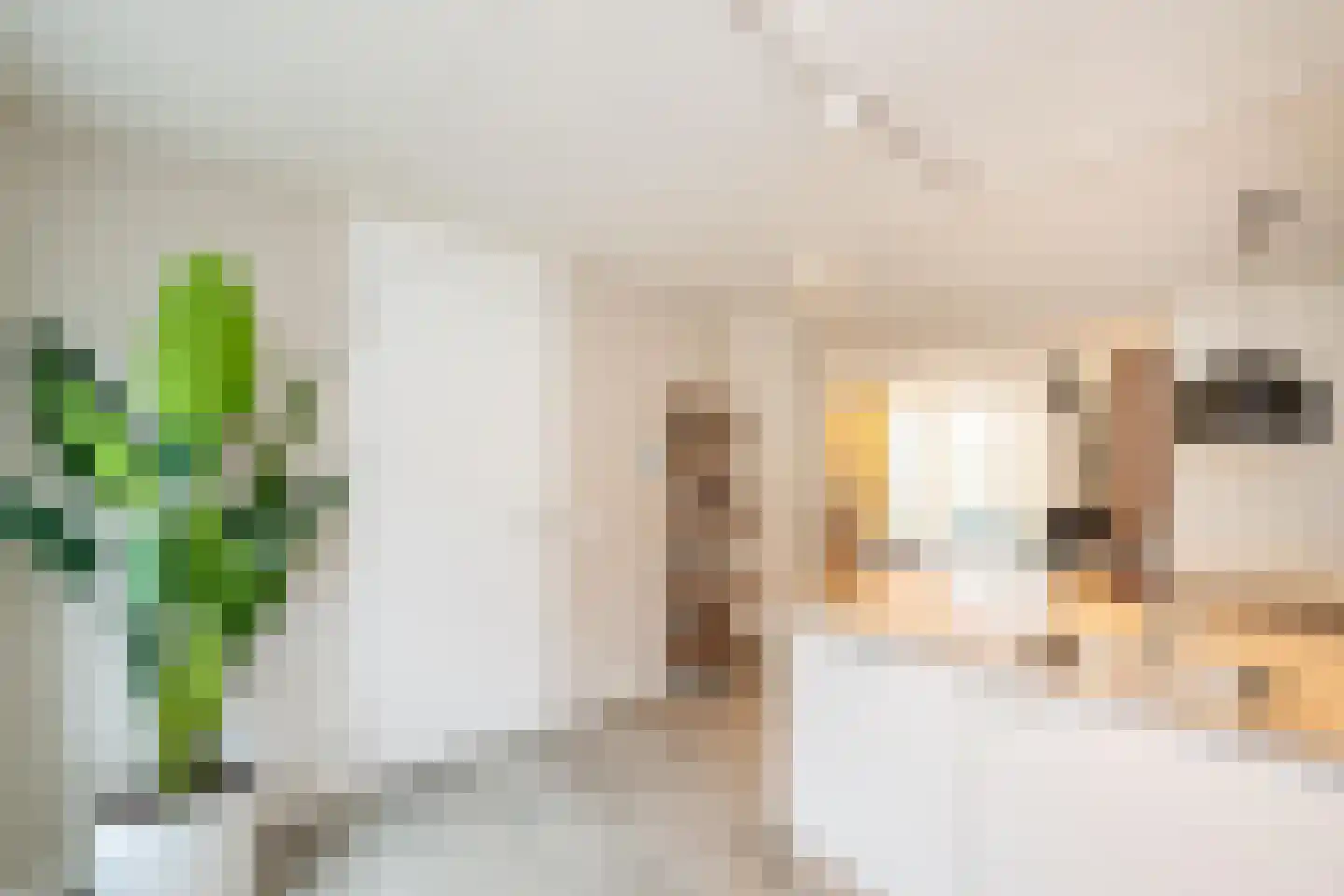 Dukdalf 70 Maastricht thumbnail 16