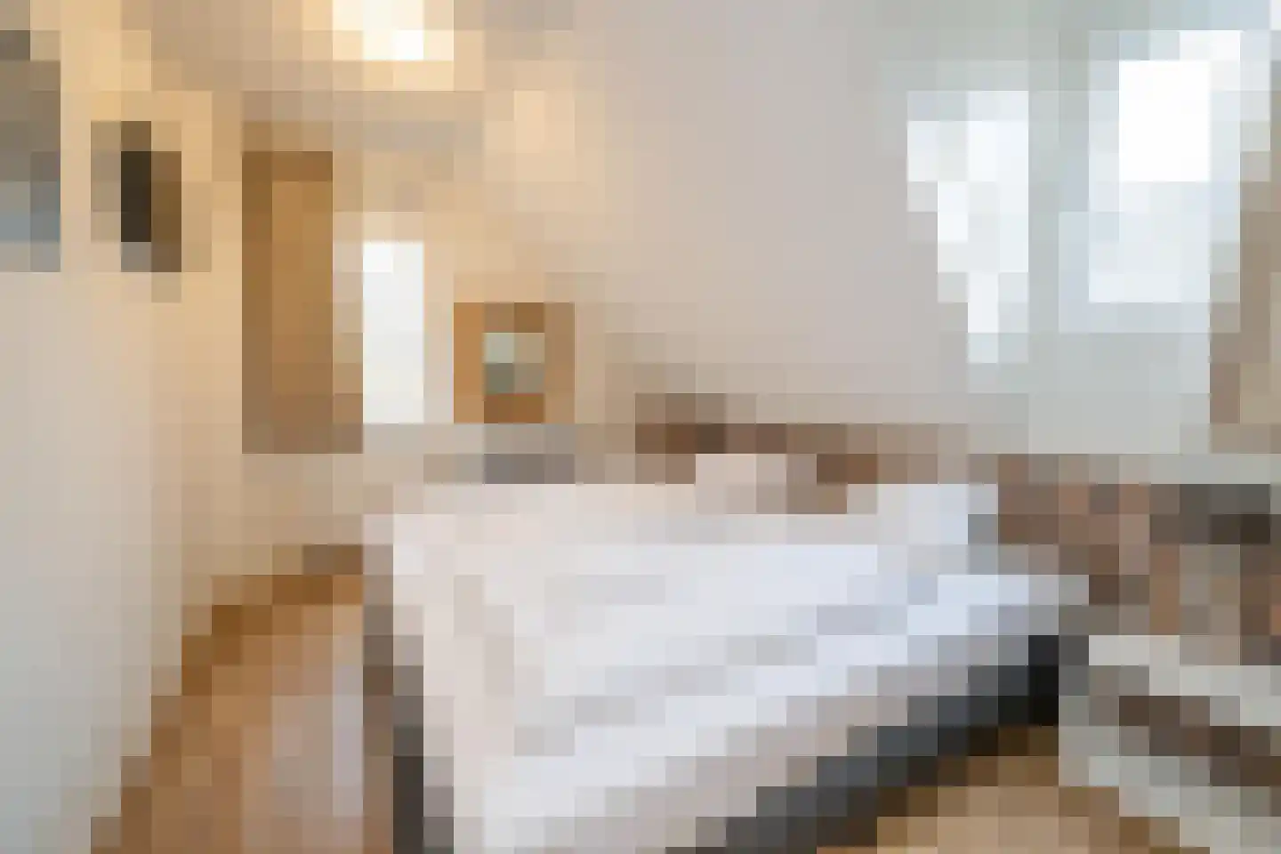 Dukdalf 70 Maastricht thumbnail 21