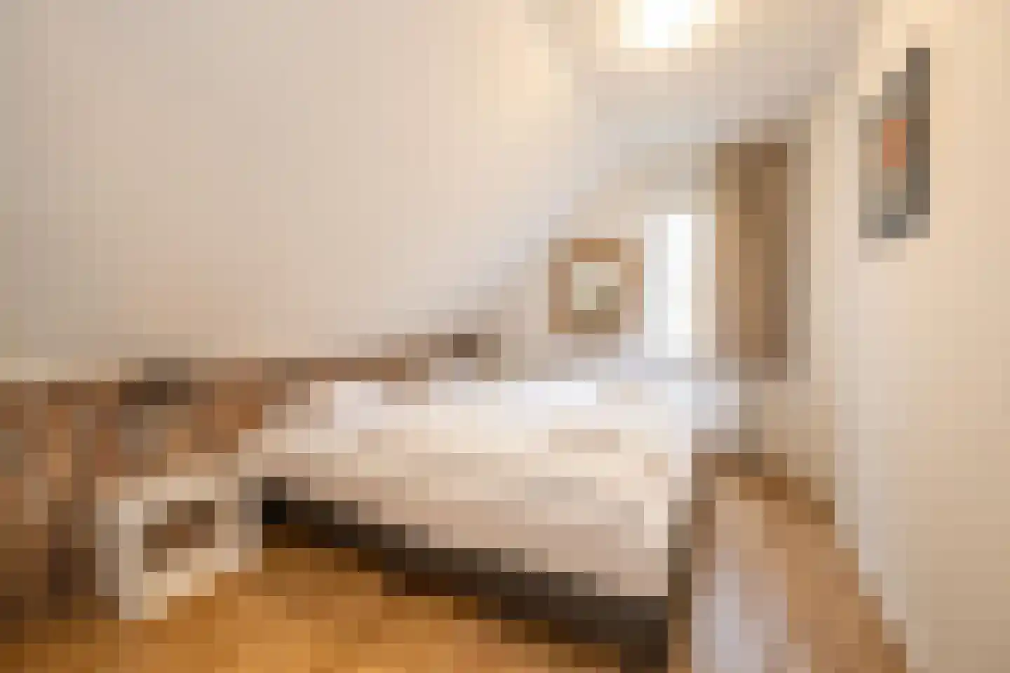 Dukdalf 70 Maastricht thumbnail 23