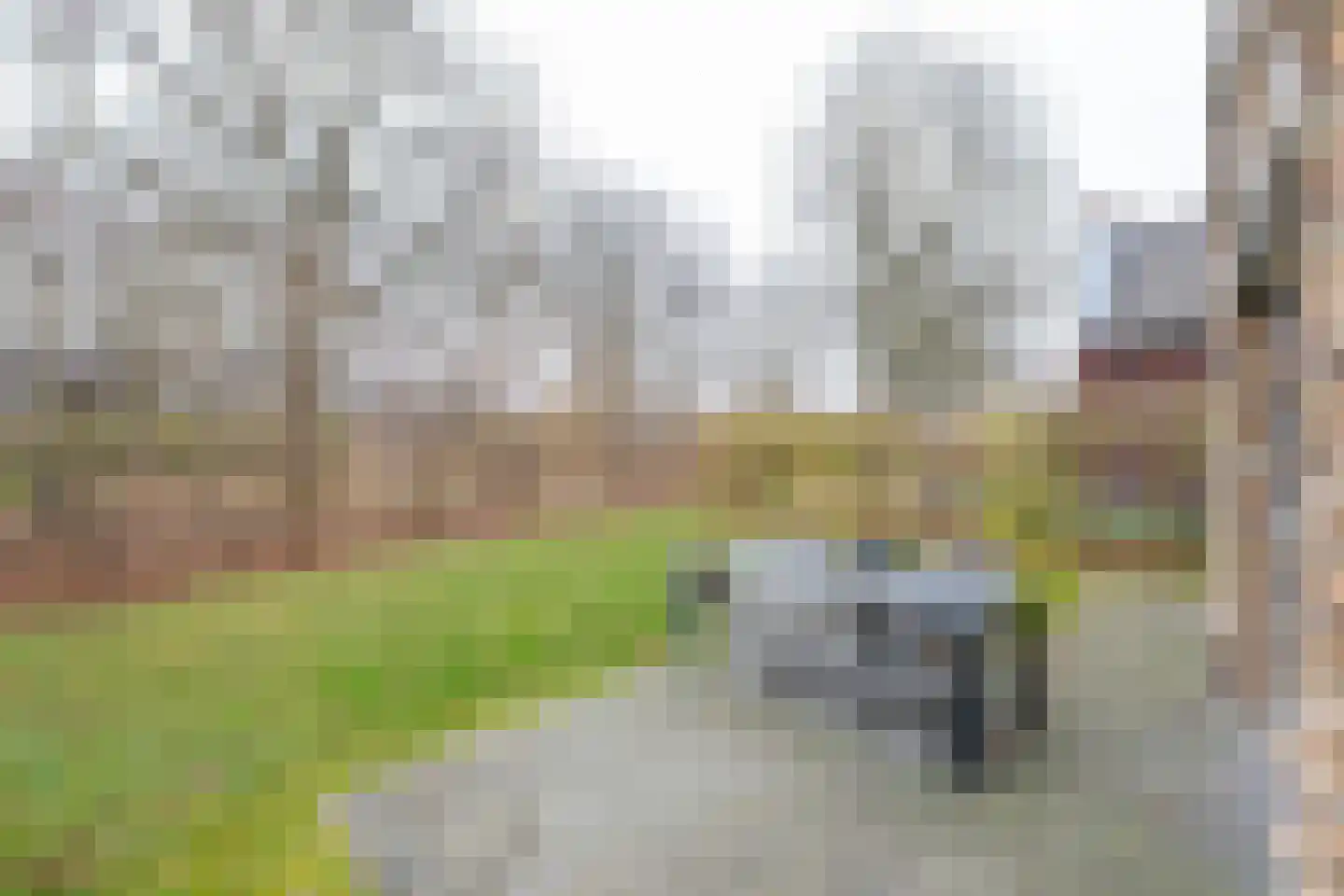 Dukdalf 70 Maastricht thumbnail 6