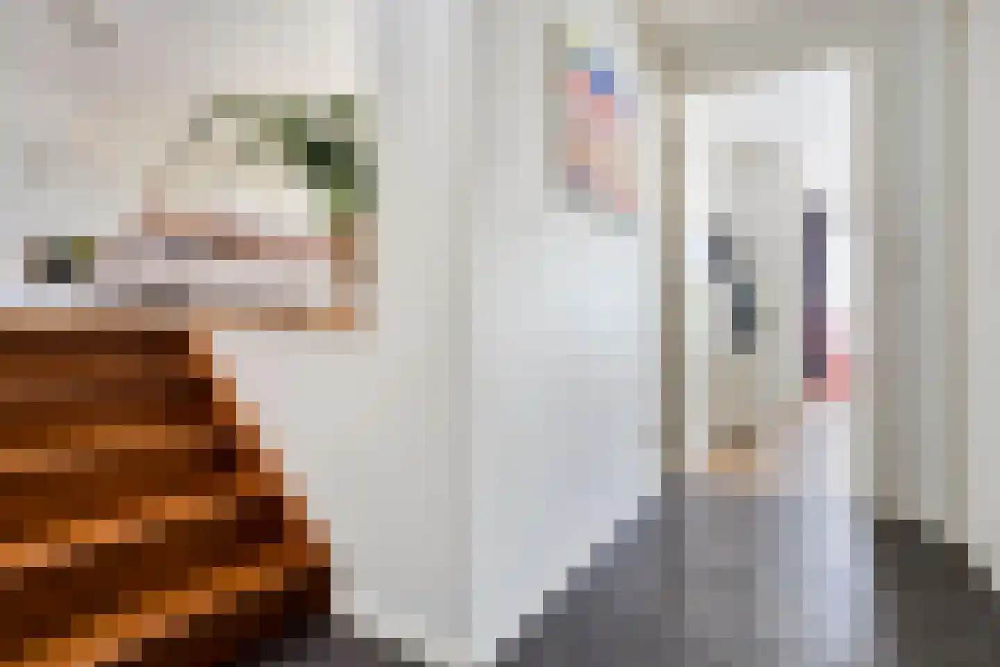 Duke Ellingtonlaan 11 Eindhoven thumbnail 23