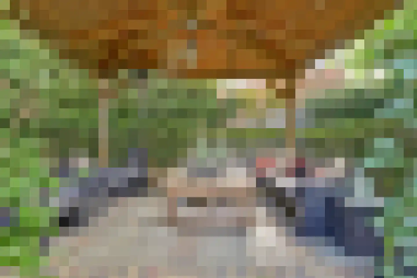 Duke Ellingtonlaan 14 Goes thumbnail 50