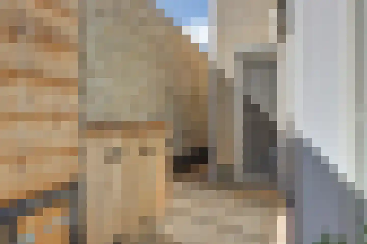 Duke Ellingtonlaan 14 Goes thumbnail 57