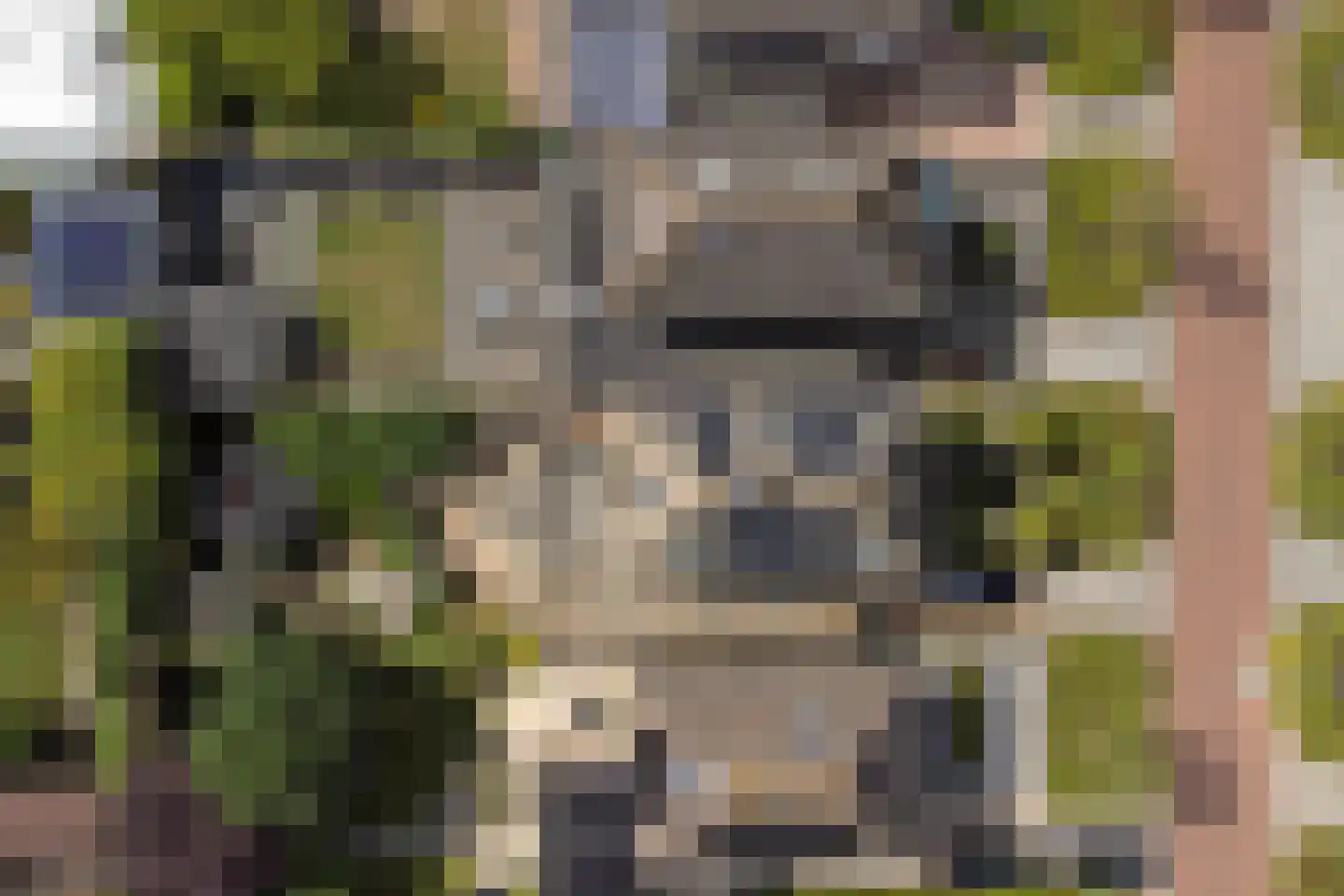 Duke Ellingtonlaan 14 Goes thumbnail 61