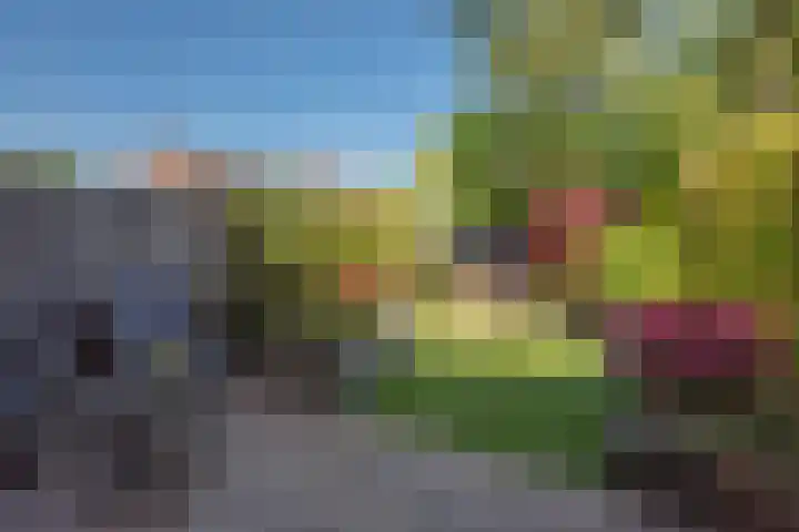Duke Ellingtonrode 30 Zoetermeer thumbnail 19
