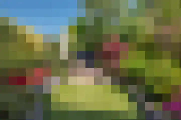 Duke Ellingtonrode 30 Zoetermeer thumbnail 20