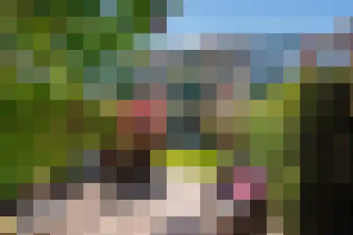 Duke Ellingtonrode 30 Zoetermeer thumbnail 22