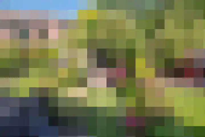 Duke Ellingtonrode 30 Zoetermeer thumbnail 38