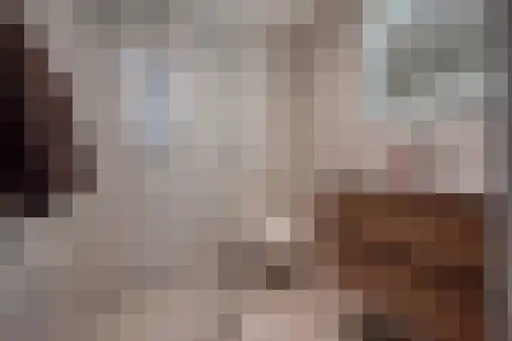 Duke Ellingtonrode 30 Zoetermeer thumbnail 4