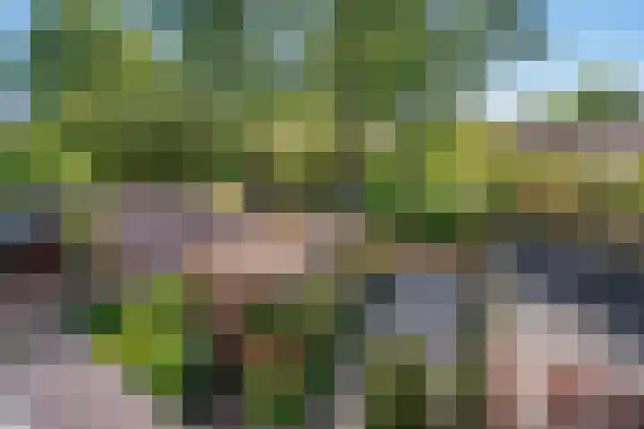 Duke Ellingtonrode 30 Zoetermeer thumbnail 43