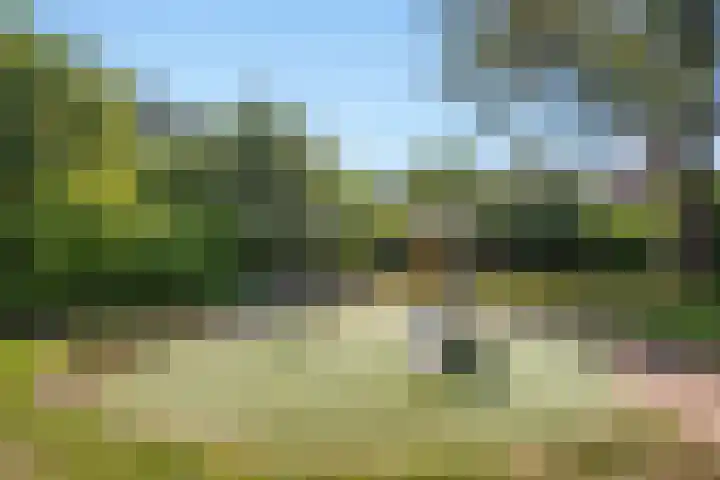 Duke Ellingtonrode 30 Zoetermeer thumbnail 44
