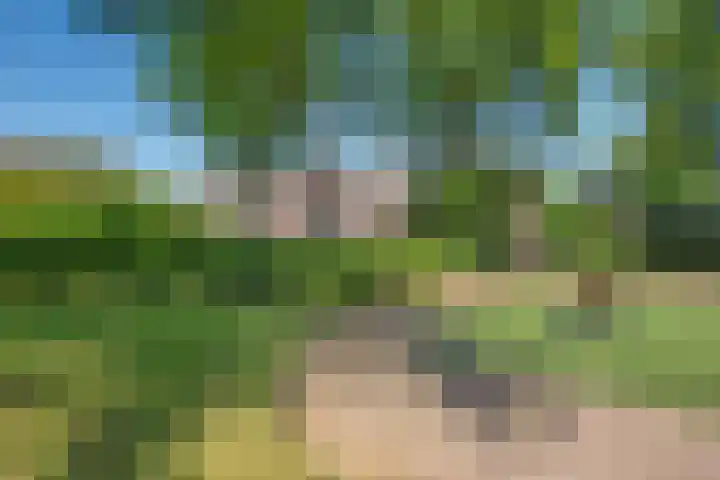 Duke Ellingtonrode 30 Zoetermeer thumbnail 45