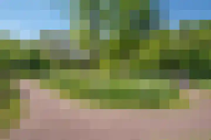 Duke Ellingtonrode 30 Zoetermeer thumbnail 46