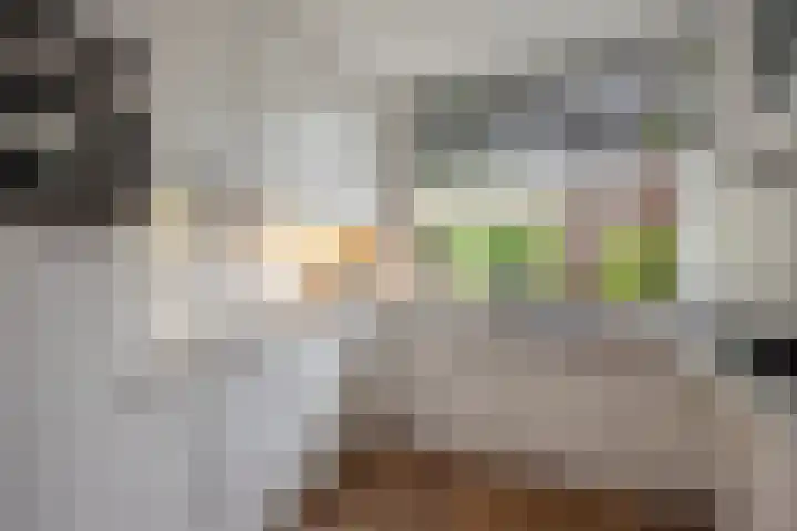 Duke Ellingtonrode 30 Zoetermeer thumbnail 5