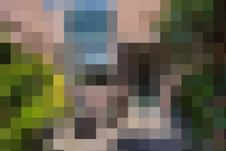 Duke Ellingtonrode 30 Zoetermeer thumbnail 8