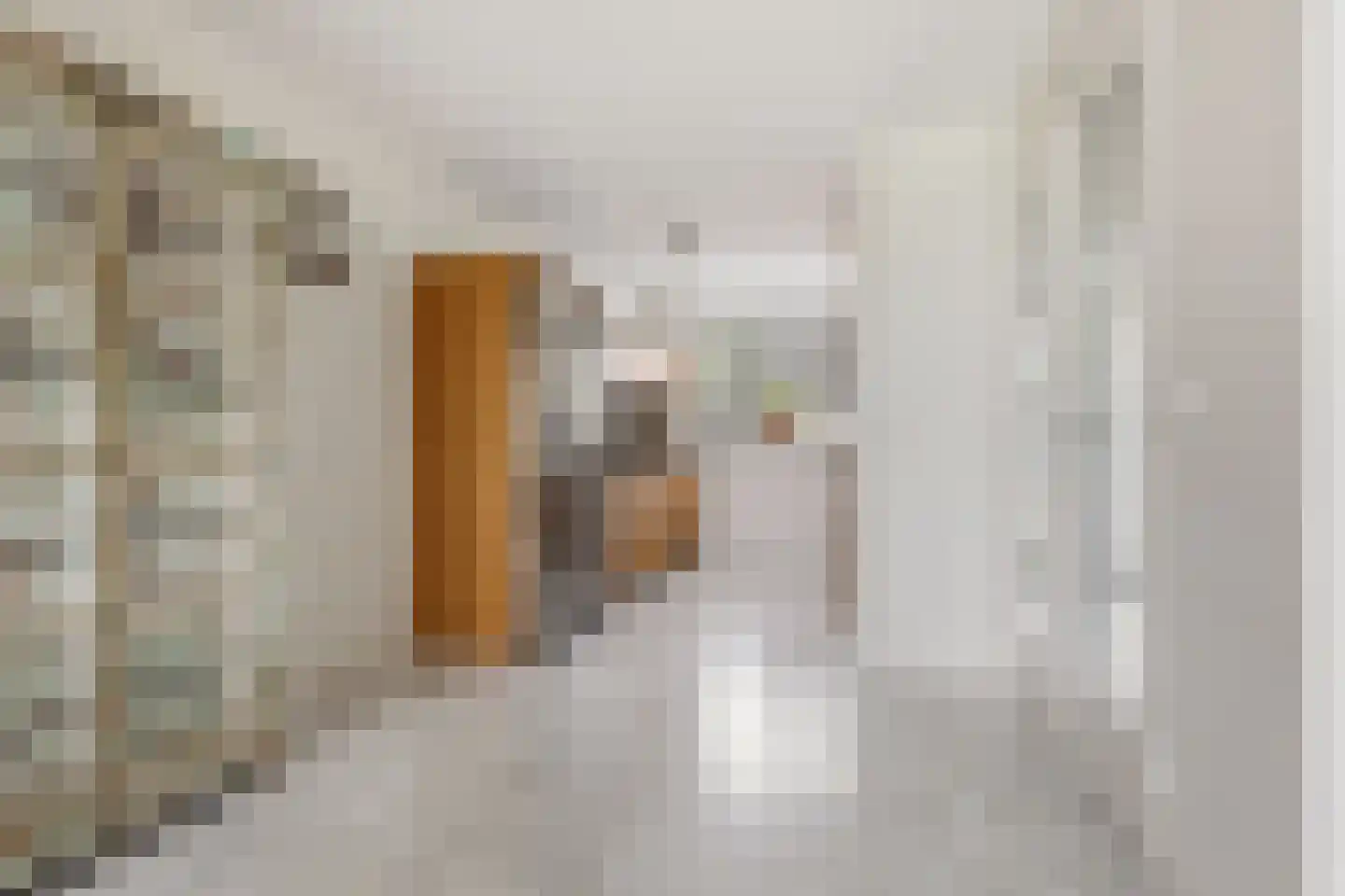 Duke Ellingtonstraat 11 Zaandijk thumbnail 10