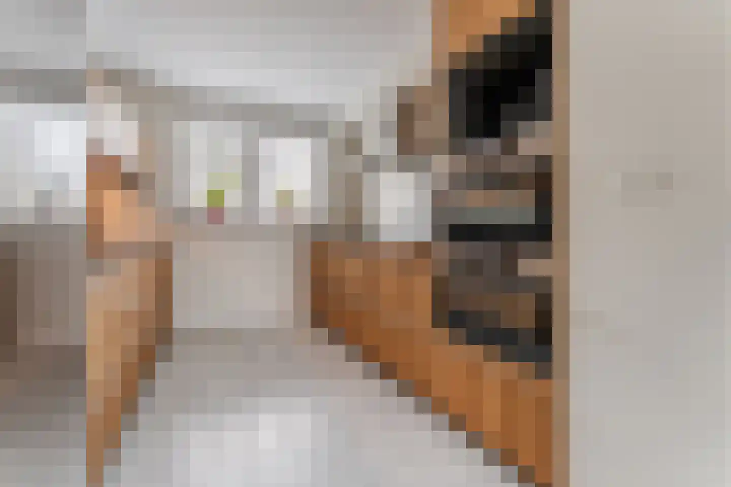 Duke Ellingtonstraat 11 Zaandijk thumbnail 21