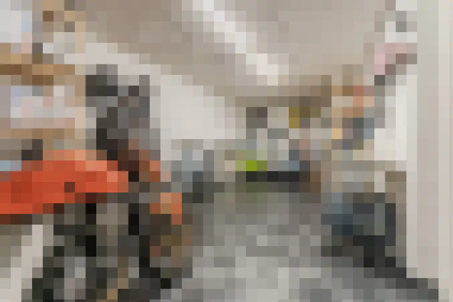 Duke Ellingtonstraat 11 Zaandijk thumbnail 29
