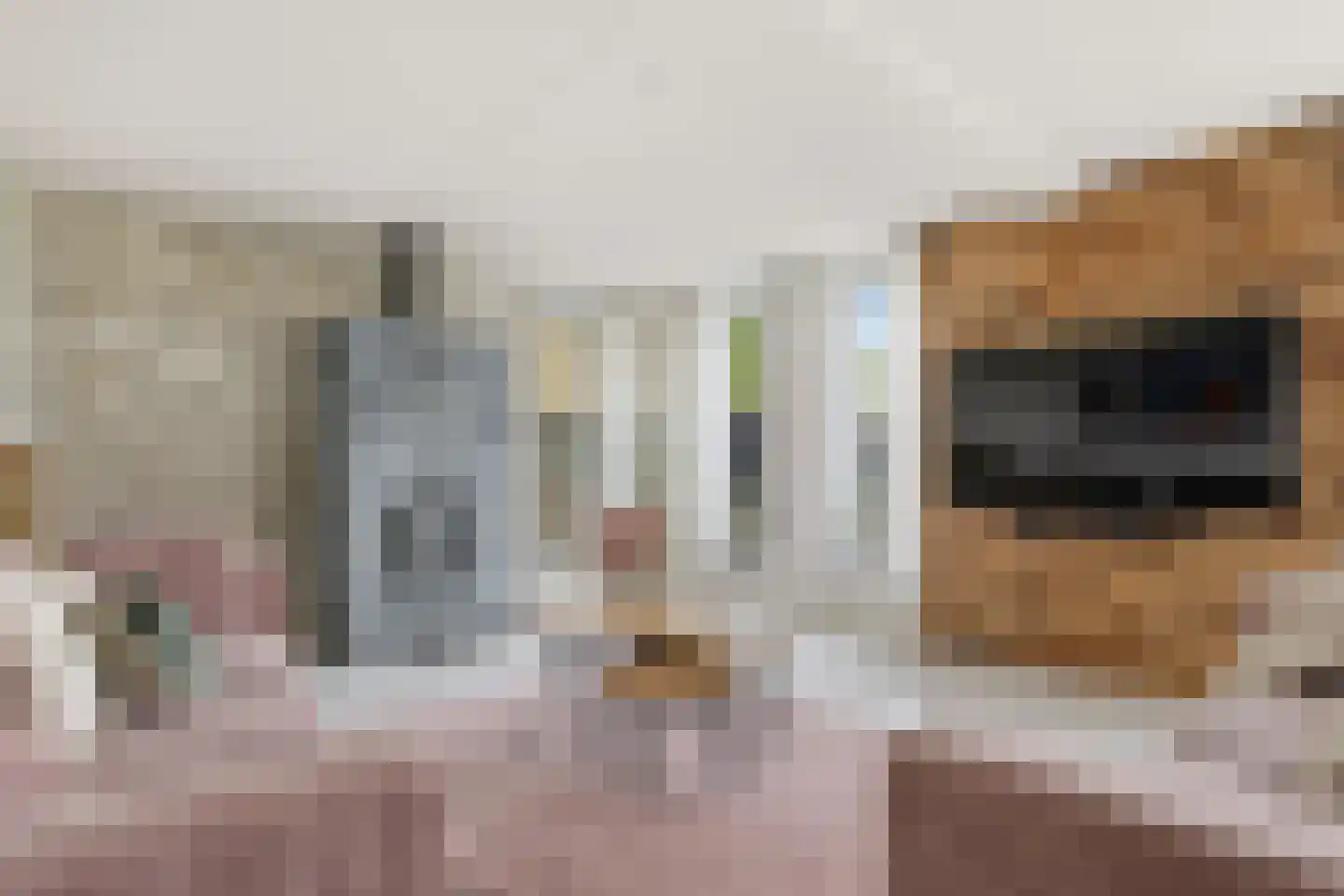 Duke Ellingtonstraat 11 Zaandijk thumbnail 5