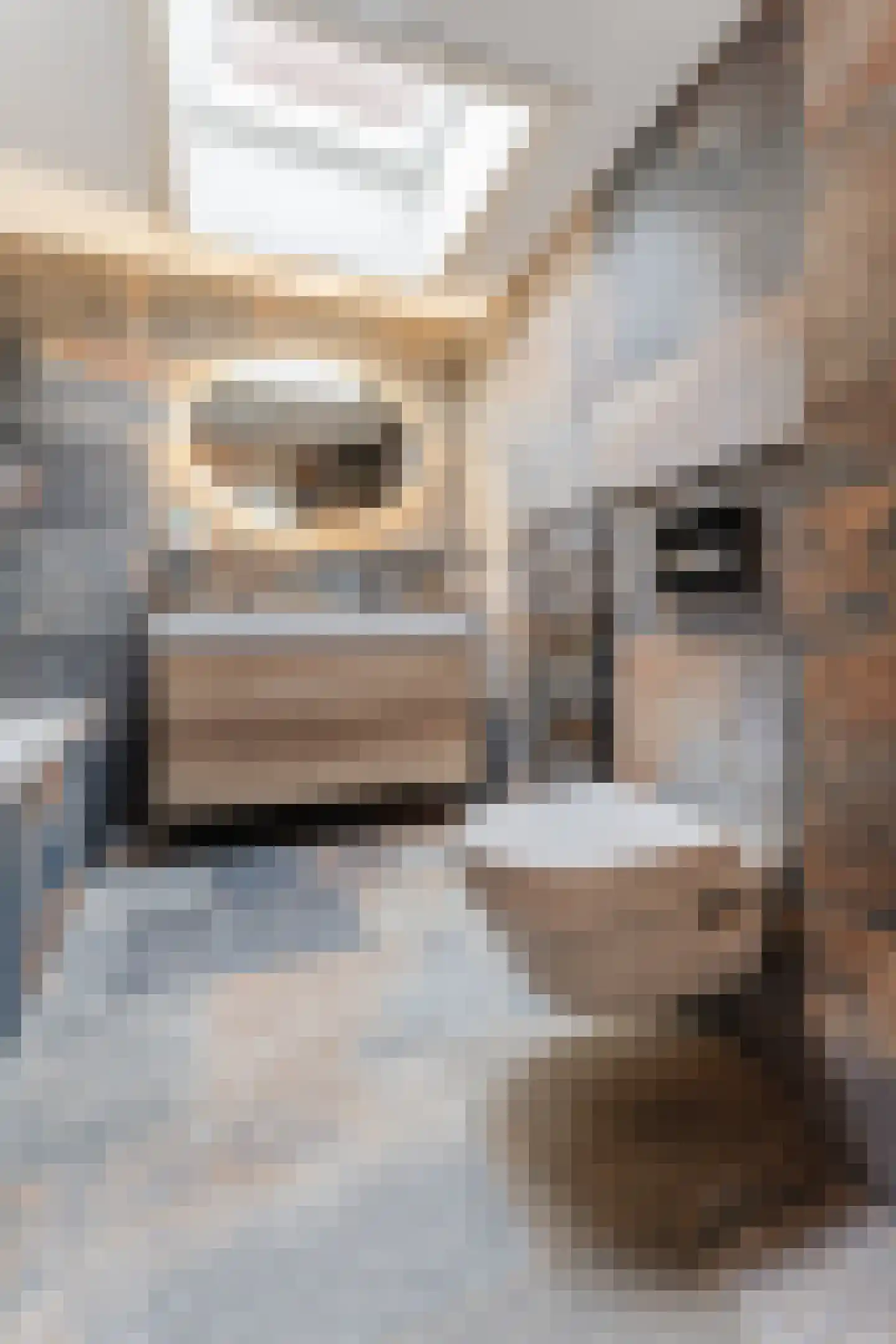 Duke Ellingtonstraat 11 Zaandijk thumbnail 50