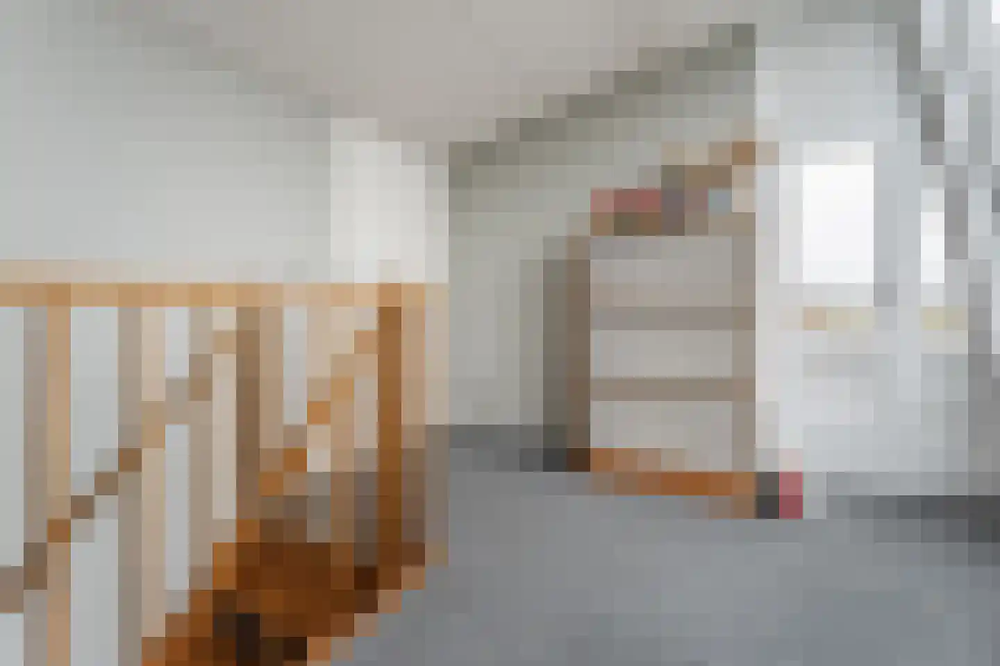 Duke Ellingtonstraat 11 Zaandijk thumbnail 57