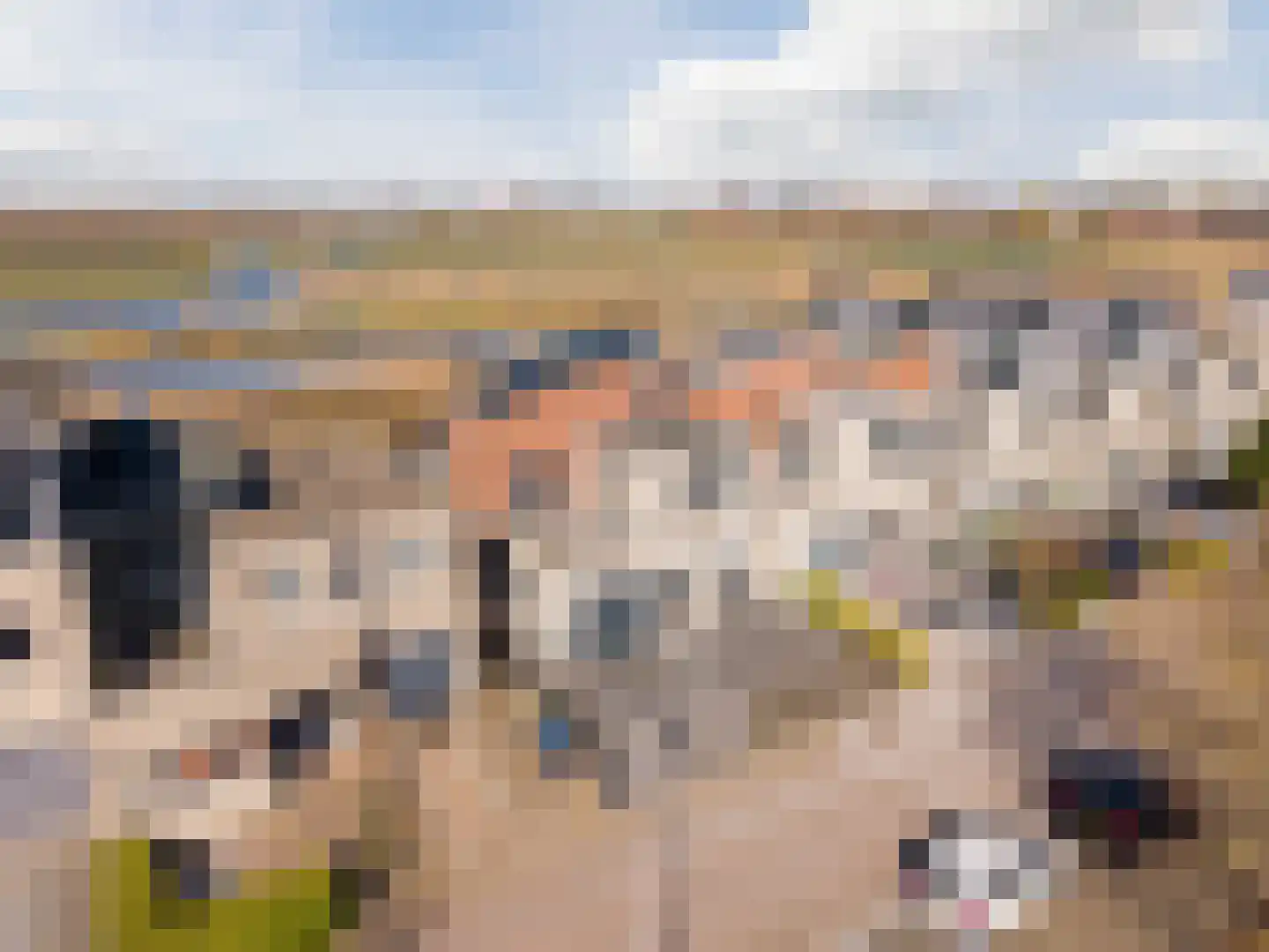 Duke Ellingtonstraat 11 Zaandijk thumbnail 7