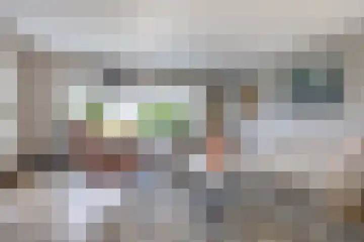 Duke Ellingtonstraat 31 Zaandijk thumbnail 10