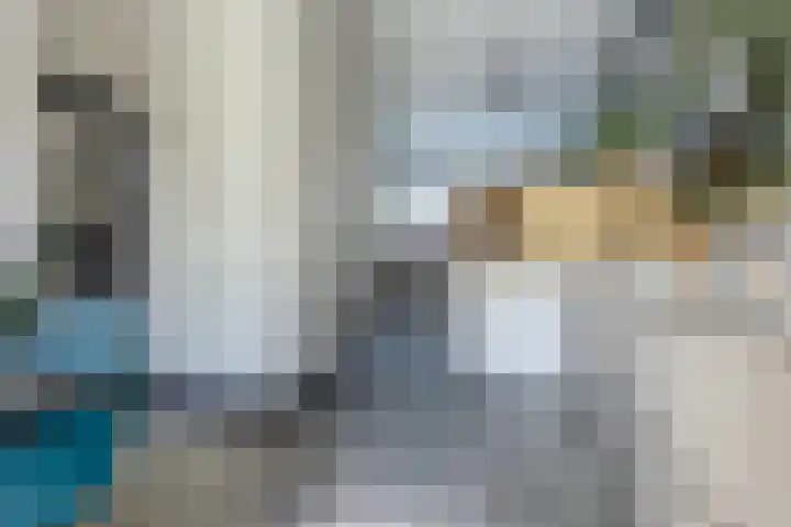 Duke Ellingtonstraat 31 Zaandijk thumbnail 13